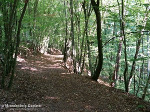 151003_Neuzelle_Schlaubetal_10