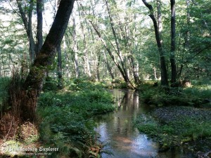 151003_Neuzelle_Schlaubetal_11