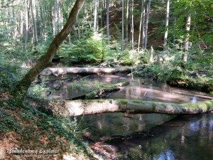 151003_Neuzelle_Schlaubetal_12