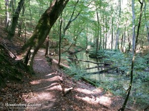 151003_Neuzelle_Schlaubetal_13