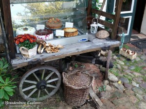 151003_Neuzelle_Schlaubetal_15