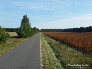 151003_Neuzelle_Schlaubetal_19