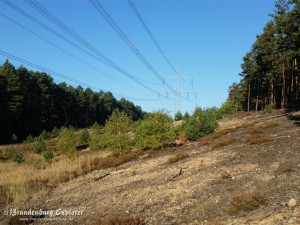 151003_Neuzelle_Schlaubetal_6