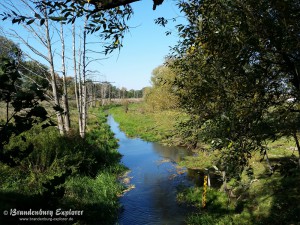 151011_Oderbruch-Wriezen_11
