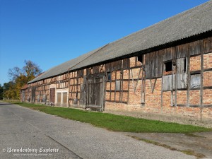 151011_Oderbruch-Wriezen_13