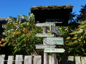 151011_Oderbruch-Wriezen_2
