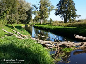 151011_Oderbruch-Wriezen_4
