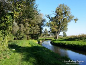 151011_Oderbruch-Wriezen_5