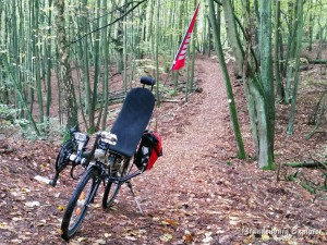 20151018_Märkische Schweiz_12