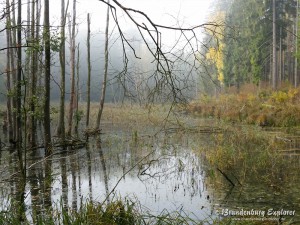 20151018_Märkische Schweiz_2