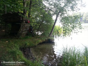 140726_Fürstenberg-Lychen_7