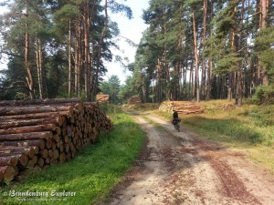 140808_Fürstenberg-Wesenberg_1