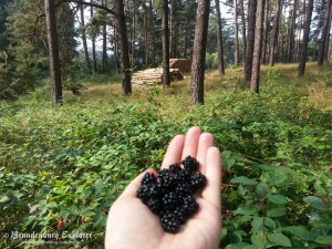 140808_Fürstenberg-Wesenberg_2
