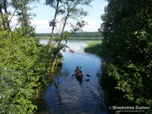 140808_Fürstenberg-Wesenberg_6