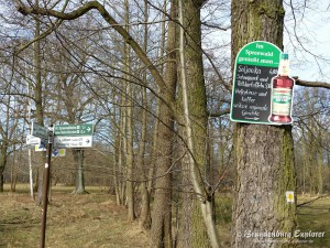 150308_Spreewald_11