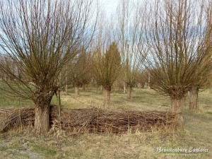 150308_Spreewald_12