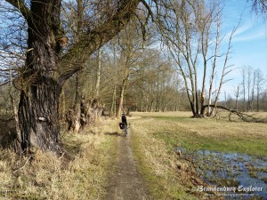 150308_Spreewald_6