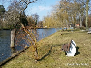 150317_Dahme-Heideseen_4