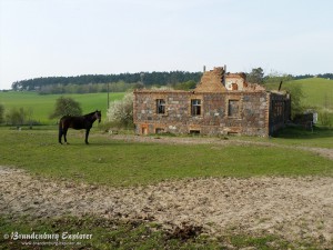 150424_Schorfheide_10