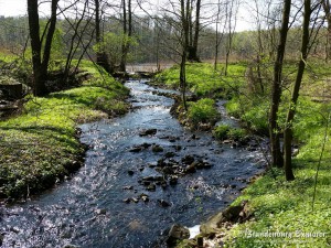 150424_Schorfheide_3
