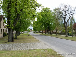 150502_Pretschen_5