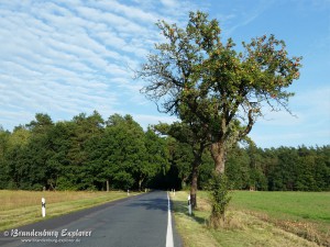 150628_KomtureiLietzen_11