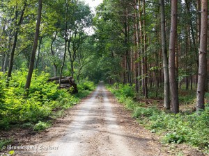 150628_KomtureiLietzen_14