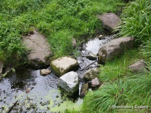 150628_KomtureiLietzen_3
