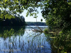 150702_Stechlinsee_4