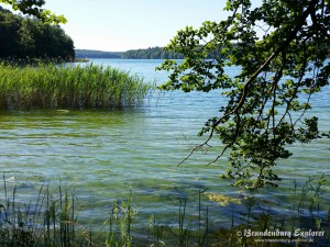 150702_Stechlinsee_7