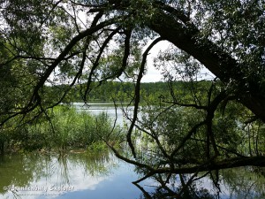 150715_Müncheberg_10