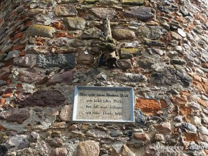 150715_Müncheberg_16