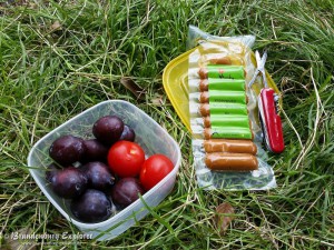 150722_Templin_09