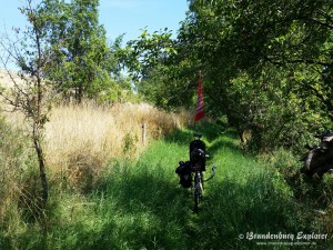 150801_Unteres_Odertal_11