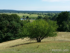 150801_Unteres_Odertal_15