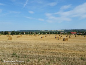 150801_Unteres_Odertal_20