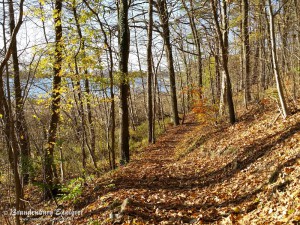 151108_Gransee_7