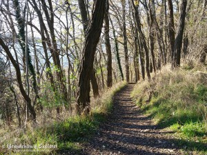 151108_Gransee_8