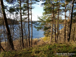 151108_Gransee_9