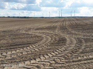 Agrarlandschaft