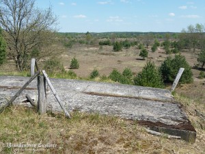 20160507_Vogelsang_15