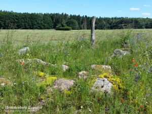 160611_Feldberg_07