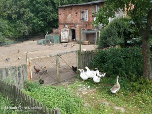 160728_Polnische_Oderseite_27