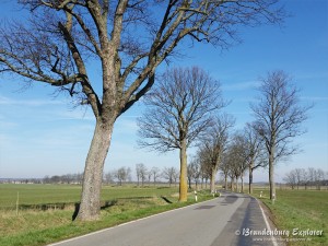 170328_Havelland_04