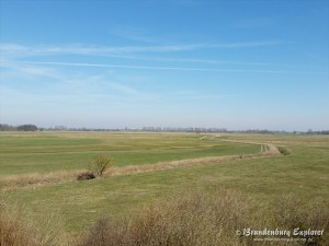 170328_Havelland_07