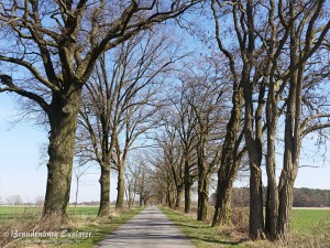 170328_Havelland_13