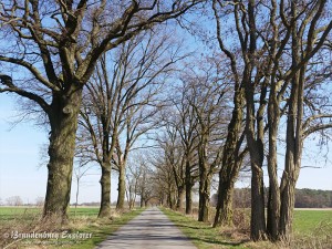 170328_Havelland_13