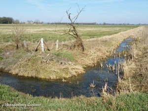 170328_Havelland_15