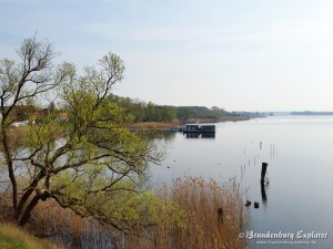 170401_Westhavelland_04