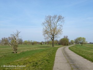 170401_Westhavelland_11